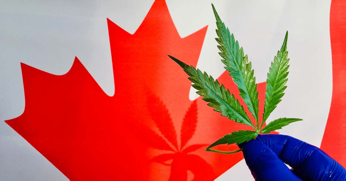 Canadá legaliza a cannabis totalmente