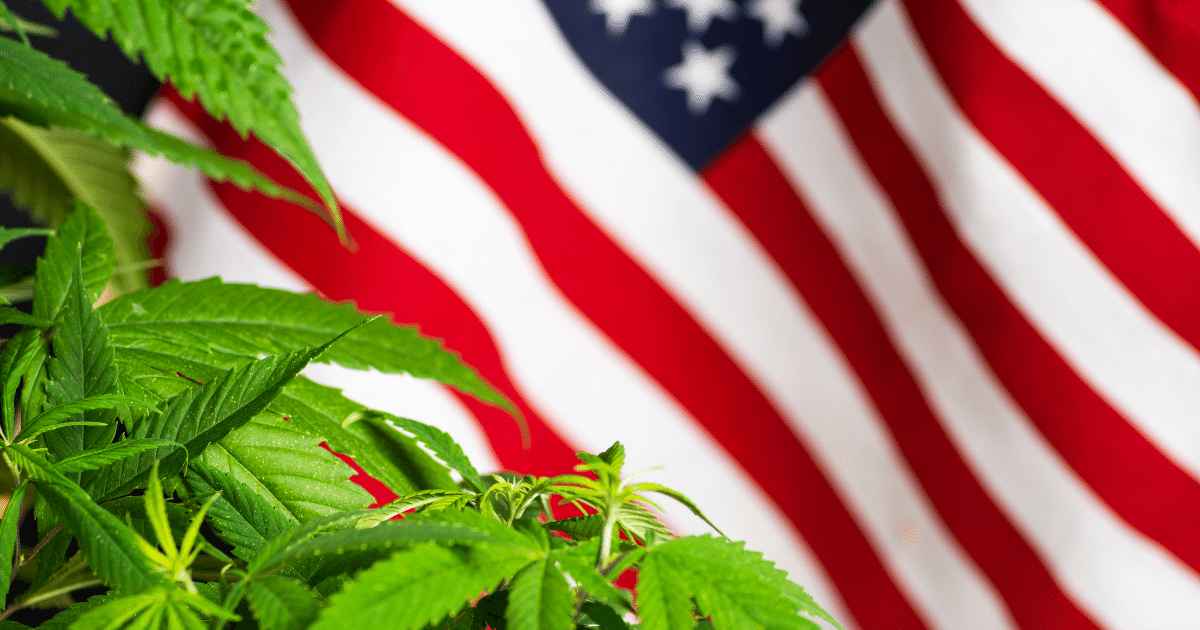 Medicamento à base de cannabis é aprovado nos Estados Unidos