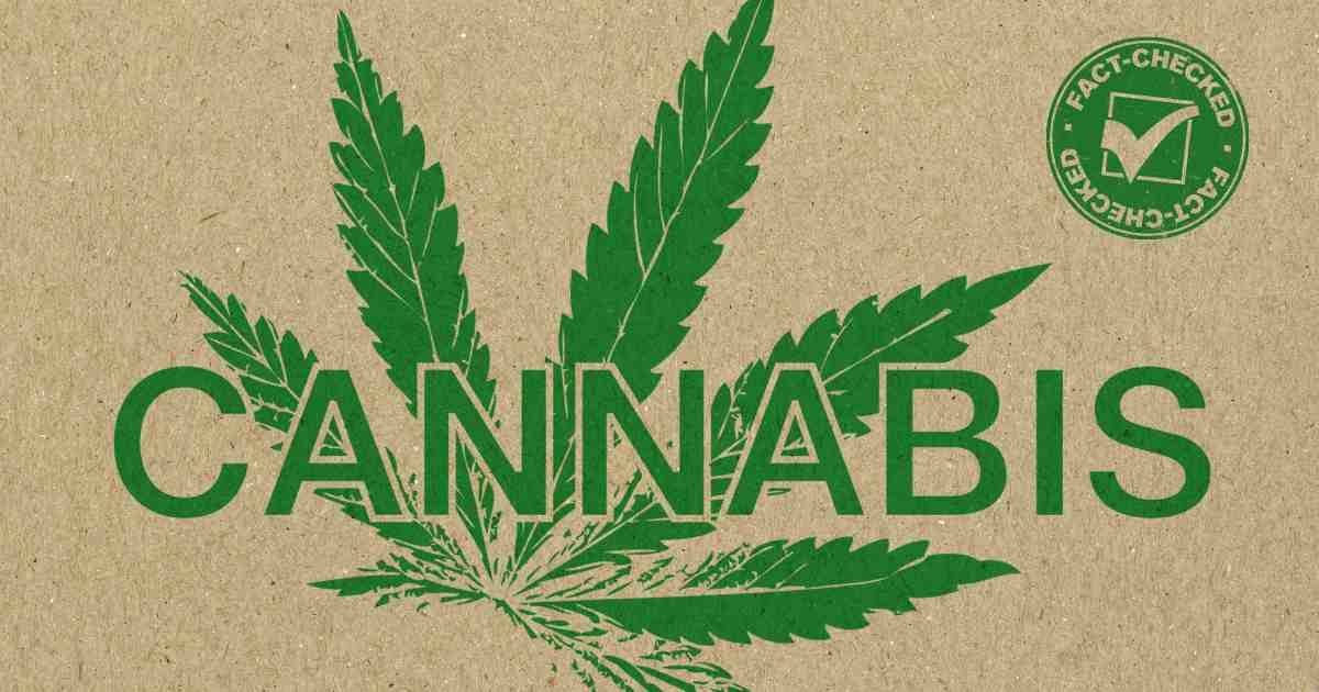 6 fatos históricos sobre o uso da cannabis medicinal