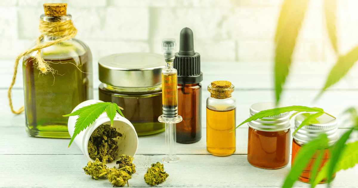 USP reforça benefícios da cannabis no tratamento de doenças