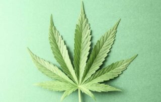 Como foi o Mês da Dor #Cannabis&Dores