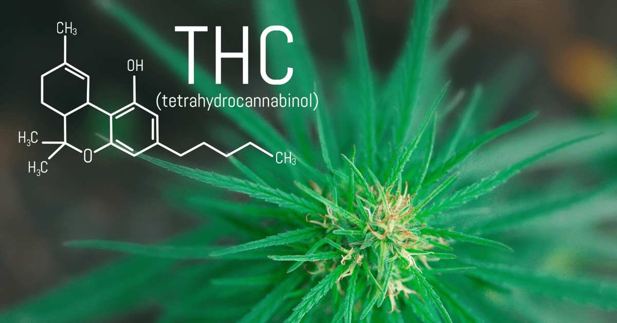Quais as doenças o THC trata?