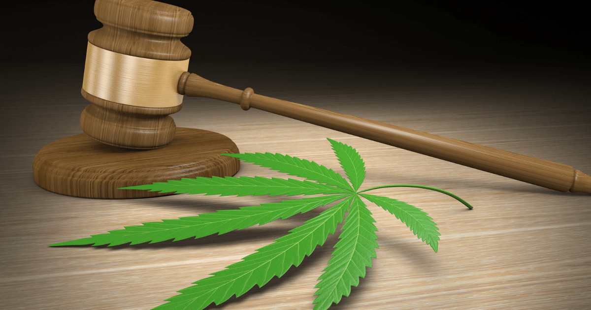 Senado-discute-cultivo-de cannabis-para-fins-medicinais