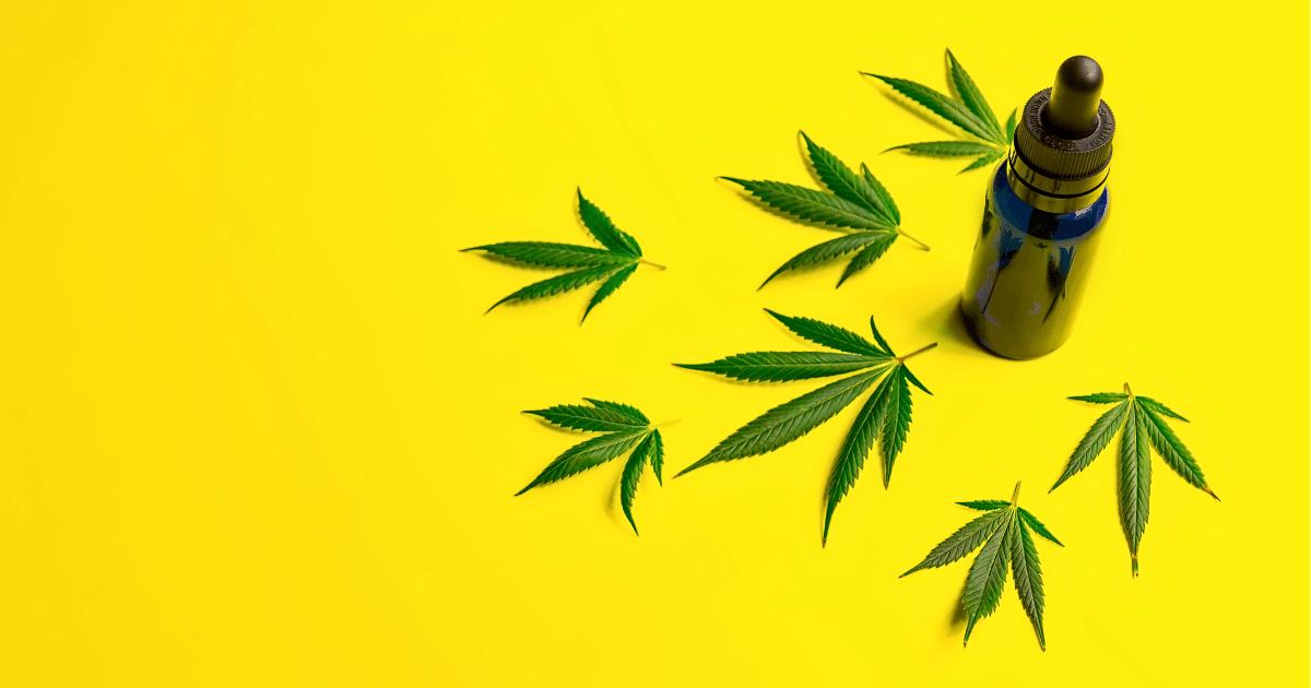 Apneia do sono e cannabis: Como a planta pode ajudar o tratamento