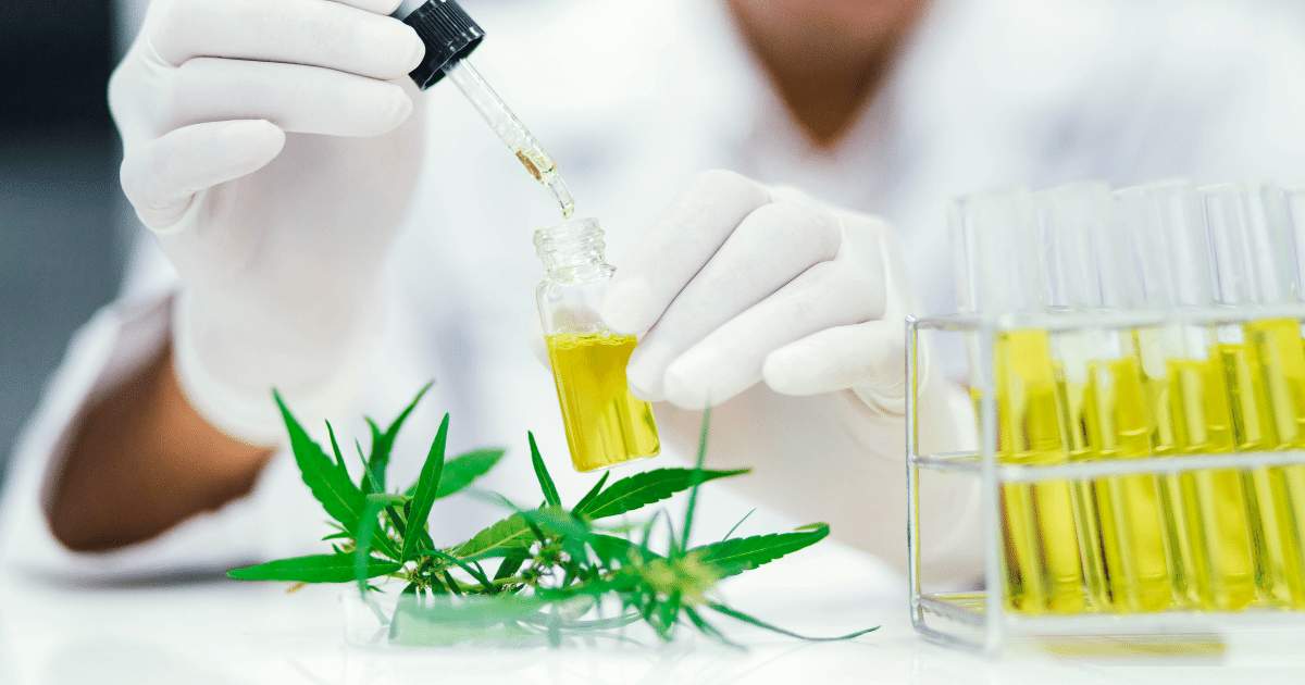 CBD nano: A nanotecnologia na cannabis medicinal
