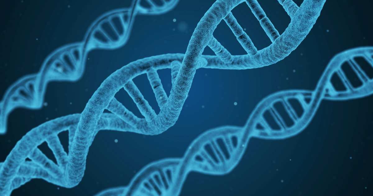 DNA e cannabis
