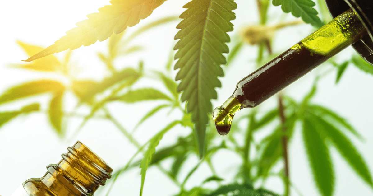 Efeitos da Cannabis muito além da ‘alta’, planta oferece benefícios