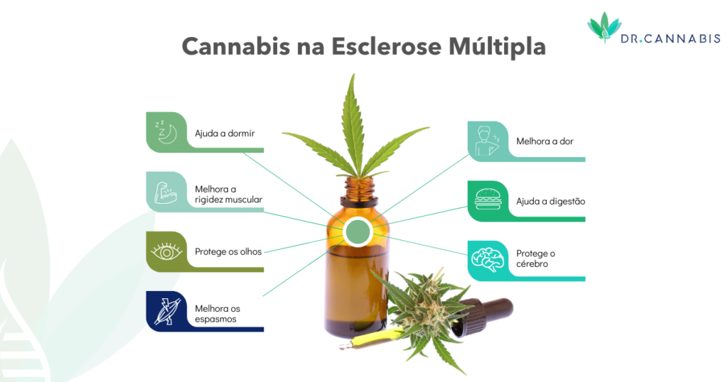 Cannabis no tratamento da Esclerose Múltipla: Veja quais são os efeitos benéficos da planta.